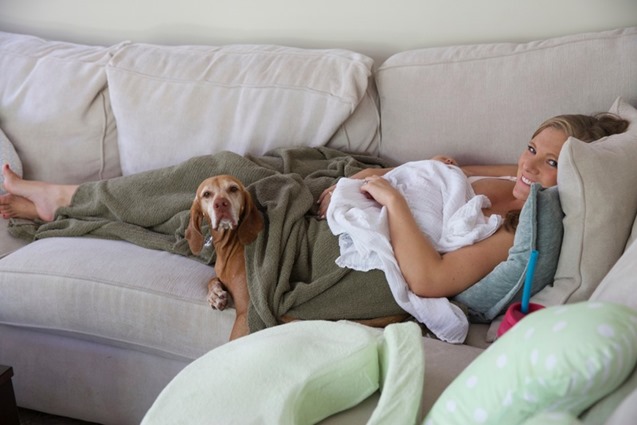 dog and baby