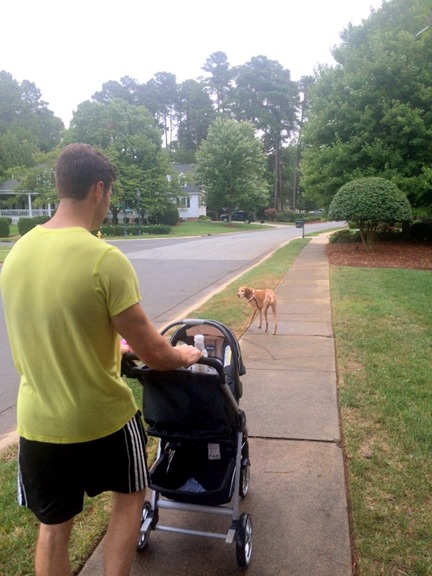 walk with baby and dog