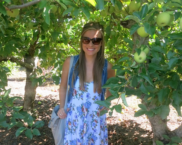 Carrigan Farms Mooresville Orchards