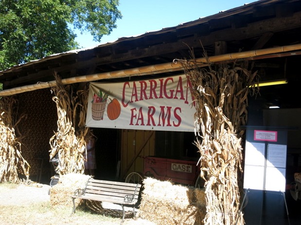 Carrigan Farms