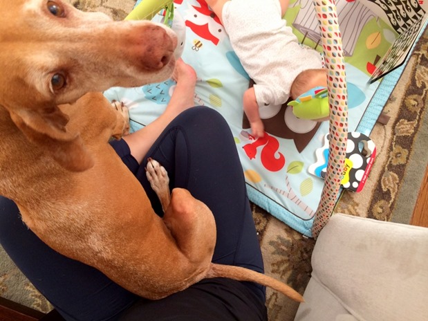 Dog and Baby