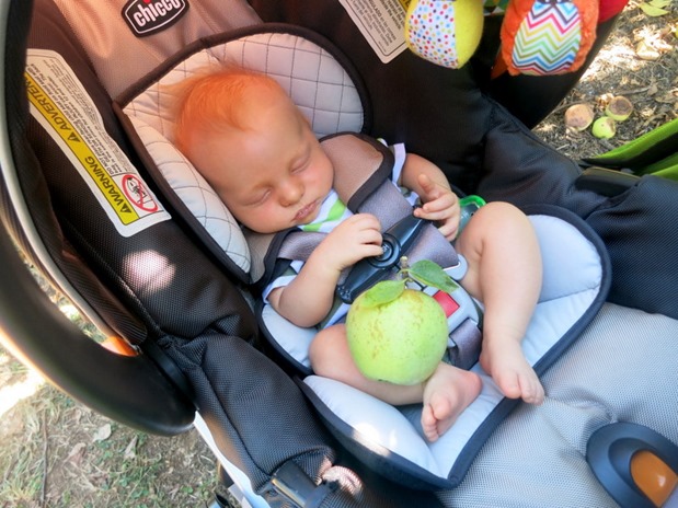chicco keyfit
