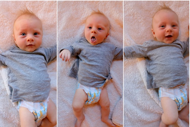 Chase 11 Weeks