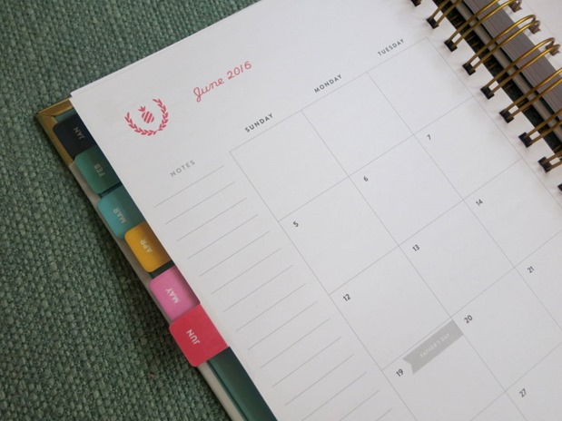 emily ley planner