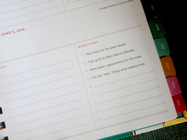 planner emily ley 2016