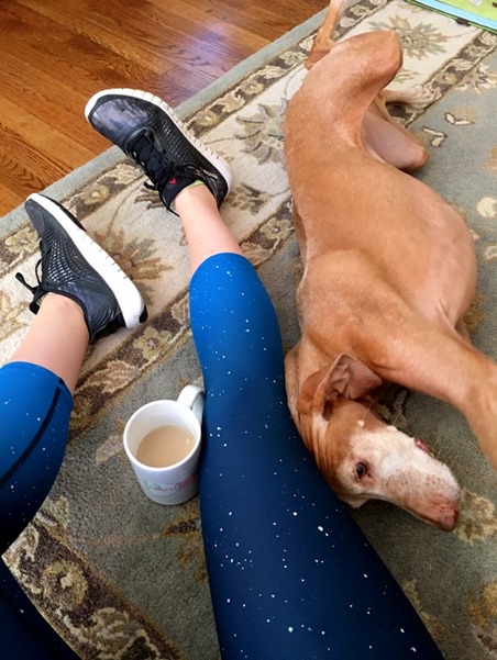fabletics crops