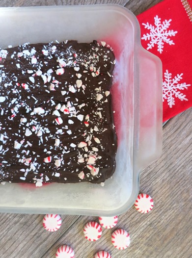 Coconut Oil Peppermint Chocolate Bark