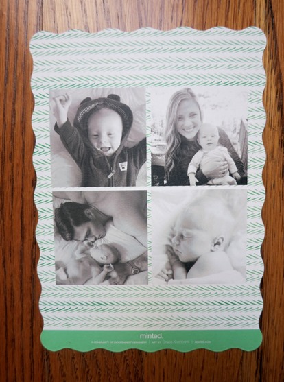 Minted Christmas Cards 2015