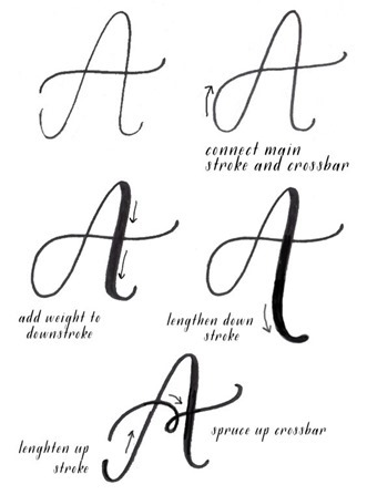 Calligraphy Tutorial