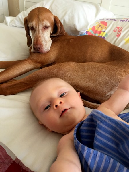 dog and baby selfie