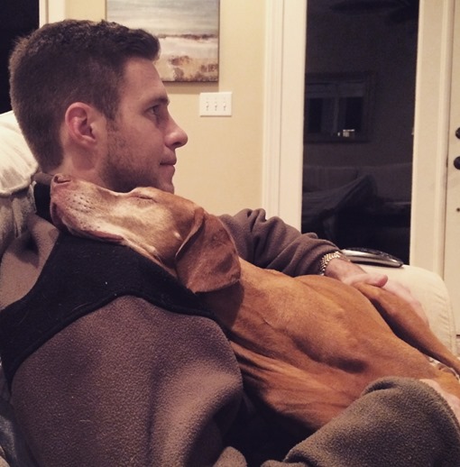 vizsla cuddling
