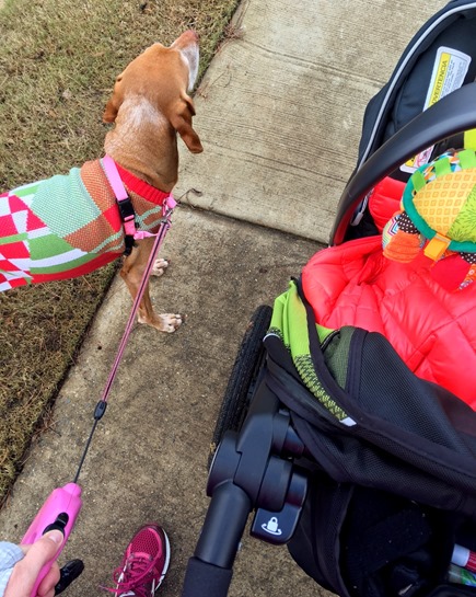 walk run with baby and dog