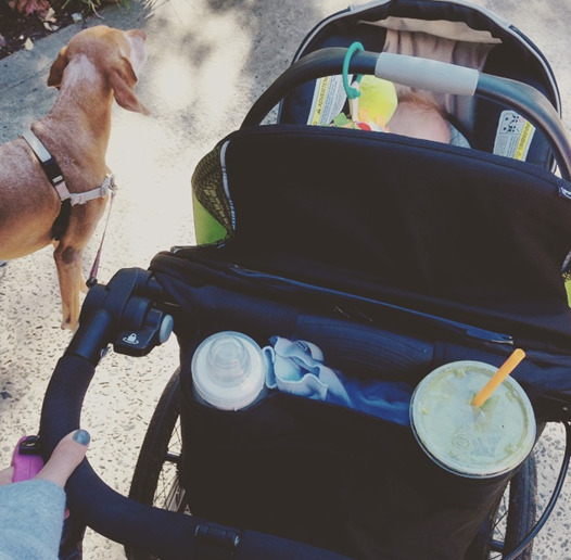 walk with baby and dog