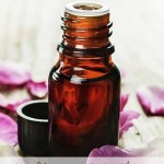 Rosehip Seed Oil - Why this stuff is AMAZING for your skin Rosehip Seed Oil - Why this stuff is AMAZING for your skin