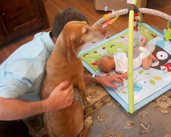 Sadie Chase Floor