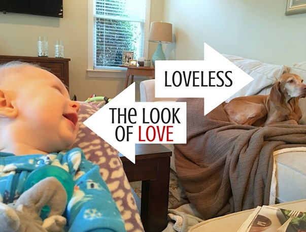 the look of love
