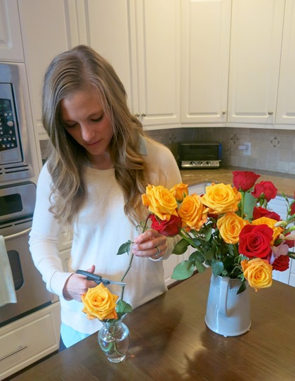 trimming roses