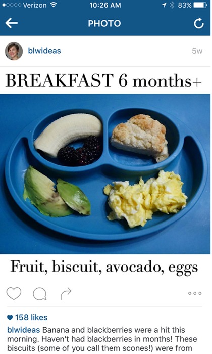 Baby Led Weaning Instagram