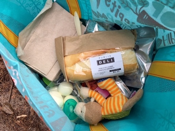 publix subs picnic