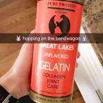 Best Gelatin Best Gelatin