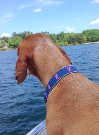 Sadie Lake Norman