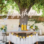 You Are My Sunshine Party Theme