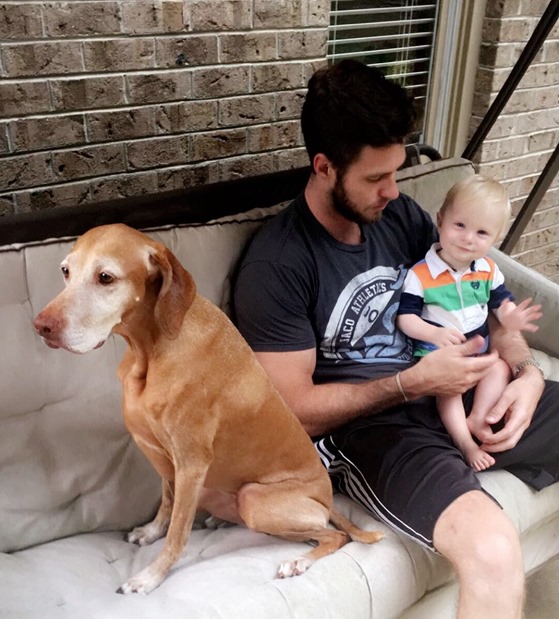 Dog Thunderstorm