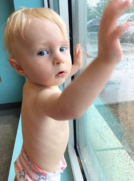 Honest Company 4th of July Diapers