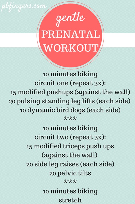 Prenatal Workout - A gentle total body workout! Click for picture demos of the exercises!