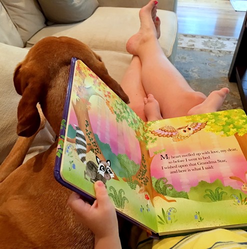 Reading Grandma Wishes Book