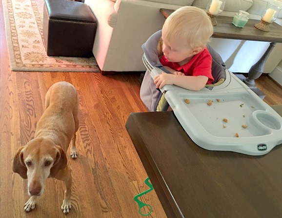 Sadie Chase Highchair