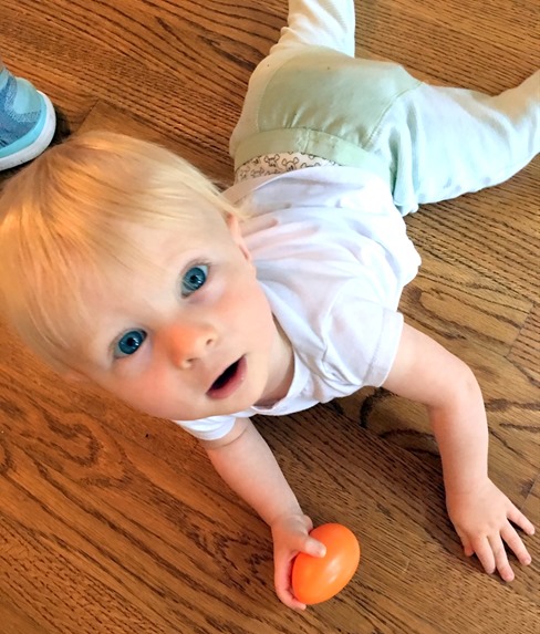 Chase with Shaker