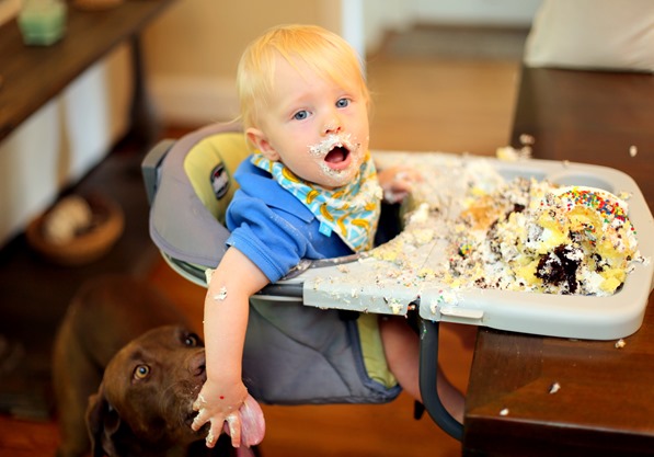 Dog and Birthday Cake