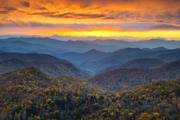 Asheville NC