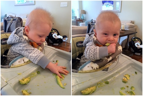 Avocado Baby First Food