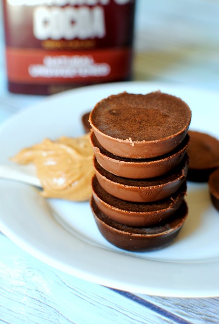 Chocolate Peanut Butter Protein Fudge