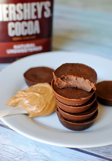 Chocolate Protein Fudge