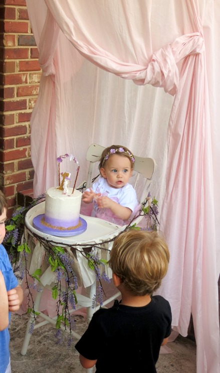 Fairy Themed First Birthday Party