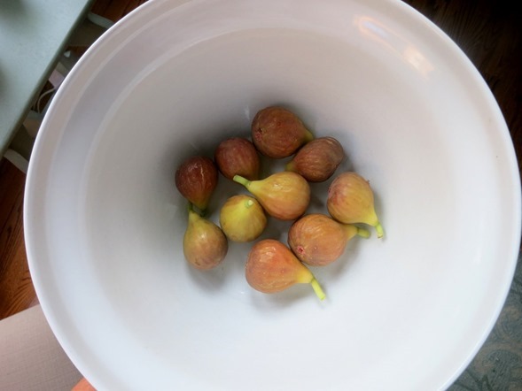 Fresh Figs from NC