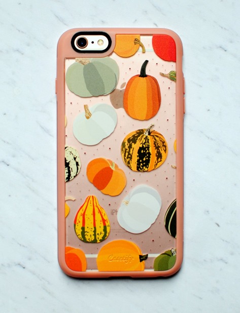 Pumpkin iPhone 6 Phone Case