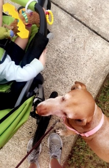 lkn walk lkn walk