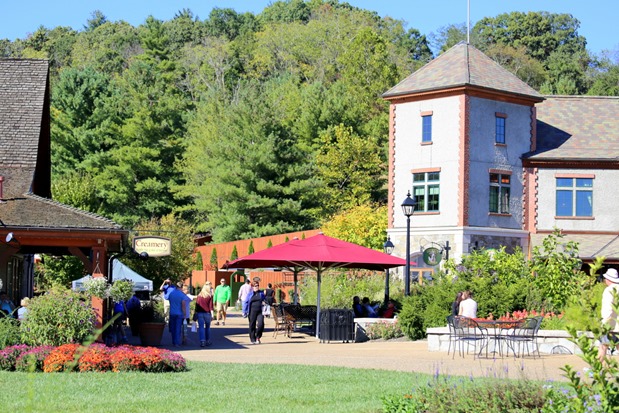 Antler Hill Village Biltmore