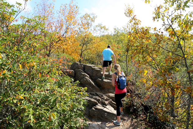 Lookout Mountain Trail Montreat