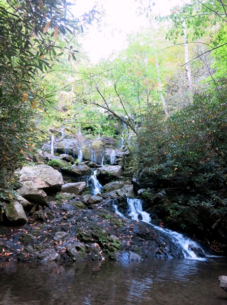 Lower Catawba Falls Hike