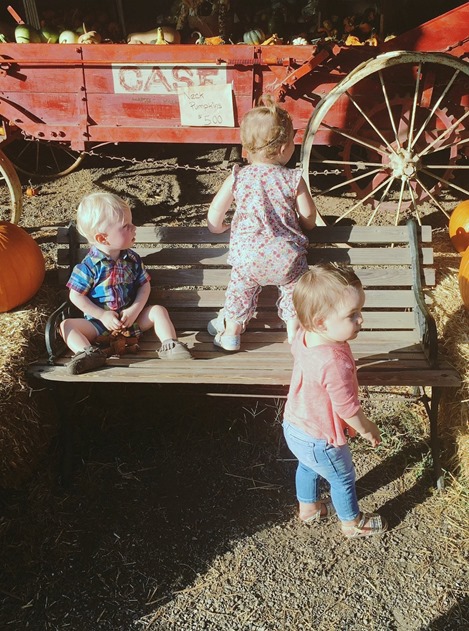carrigan farms pumpkins