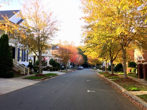 Davidson NC Fall 2016