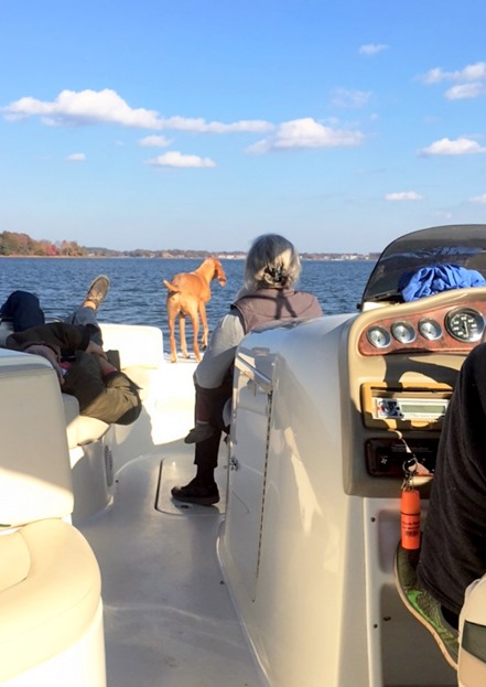 lake norman boat ride november