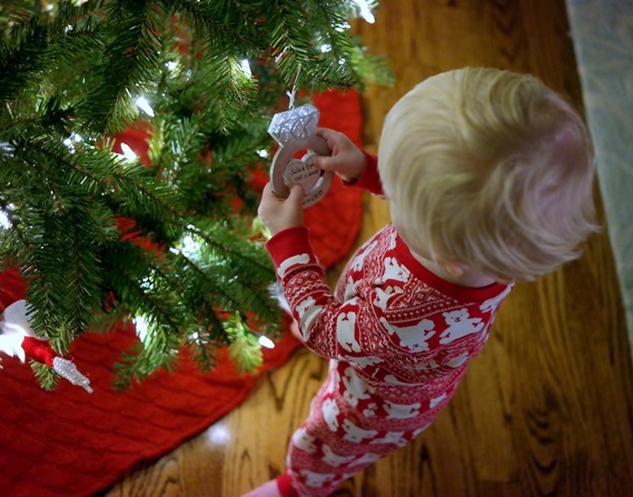 Chase Christmas Tree