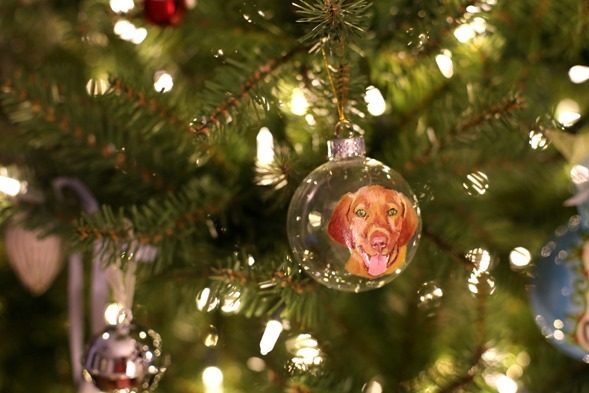 Sadie Ornament