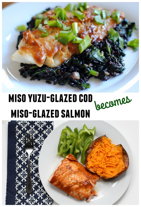 Miso Cod and Miso Salmon